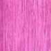 Square Oriental Pink Modern Rug, abs5517pnk