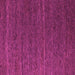 Square Abstract Pink Modern Rug, abs5556pnk