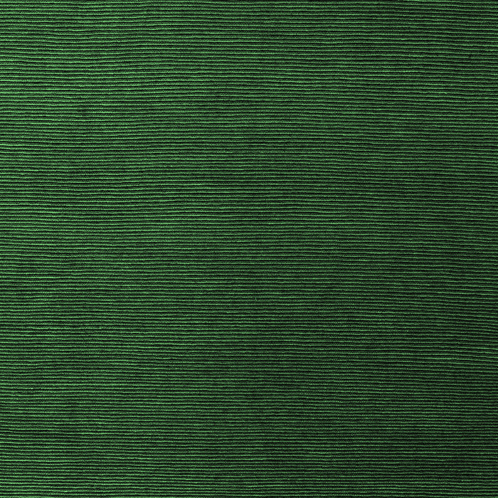 Abstract Emerald Green Modern Rug, abs5562emgrn