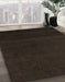 Machine Washable Abstract Dark Brown Rug in a Family Room, wshabs5574