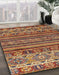 Machine Washable Abstract Saffron Red Rug in a Family Room, wshabs557