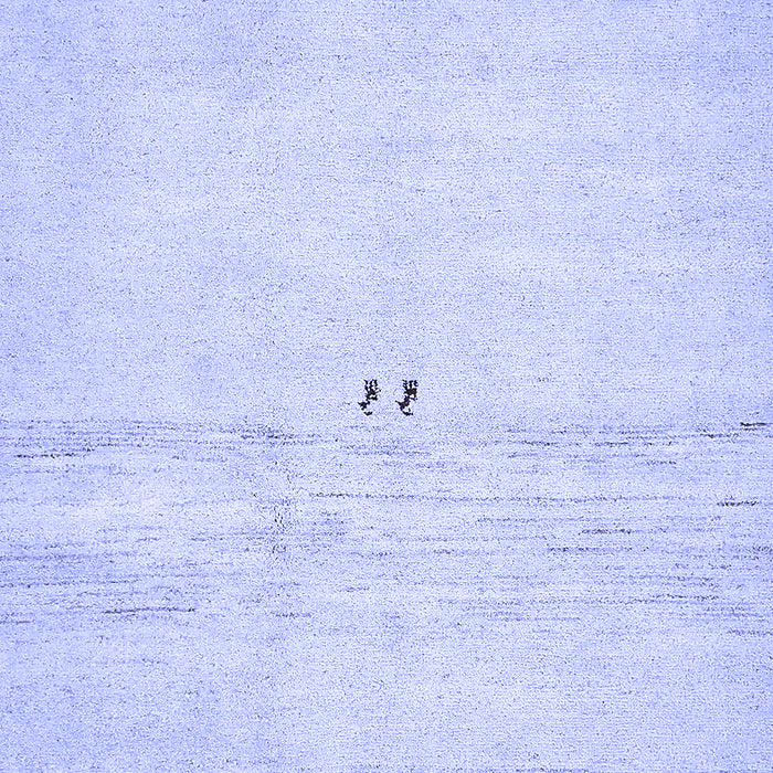 Solid Blue Modern Rug, abs5591blu