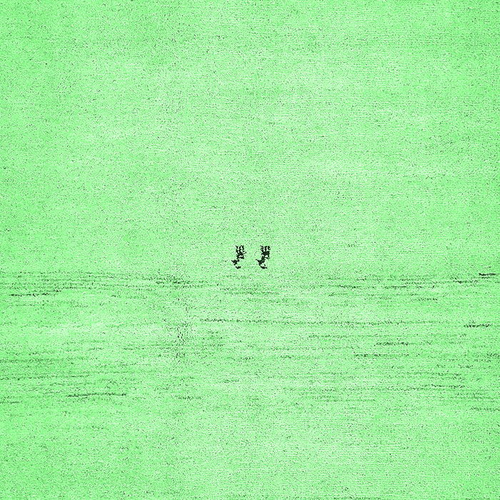 Machine Washable Solid Emerald Green Modern Area Rugs, wshabs5591emgrn