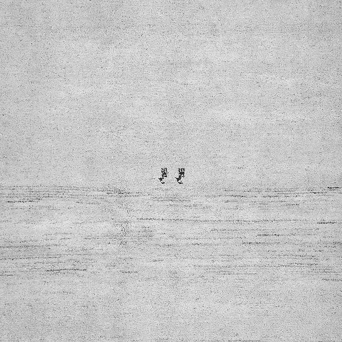 Solid Gray Modern Rug, abs5591gry