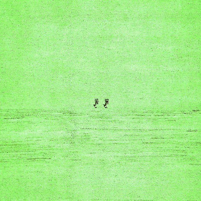 Solid Green Modern Rug, abs5591grn