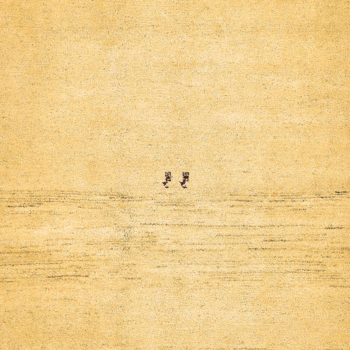 Machine Washable Solid Brown Modern Rug, wshabs5591brn