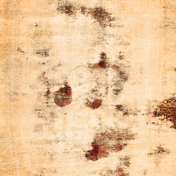 Solid Orange Modern Rug, abs5608org