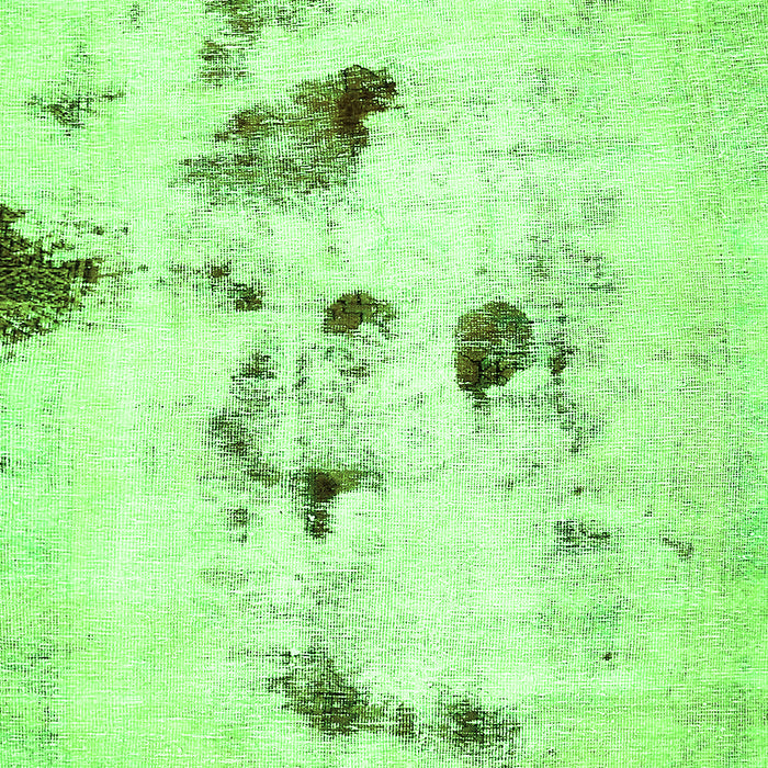 Solid Green Modern Rug, abs5608grn