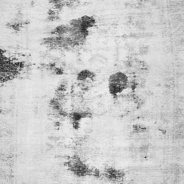 Machine Washable Solid Gray Modern Rug, wshabs5608gry