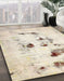 Machine Washable Abstract Camel Brown Rug in a Family Room, wshabs5608