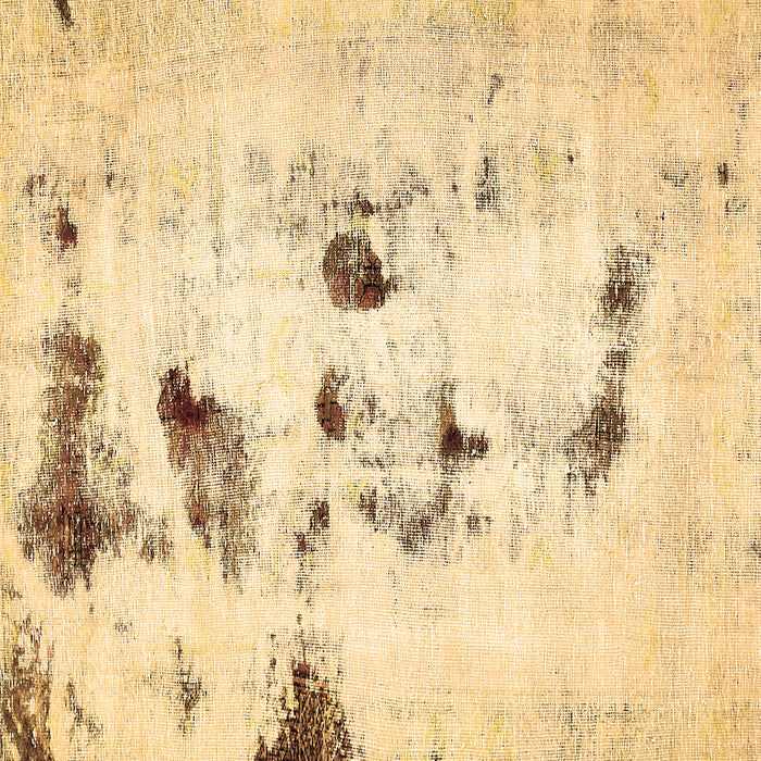 Square Machine Washable Solid Brown Modern Rug, wshabs5608brn