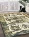 Machine Washable Abstract Dark Moccasin Green Rug in a Family Room, wshabs560