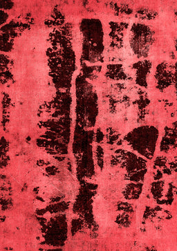 Persian Red Bohemian Area Rugs