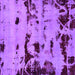 Square Machine Washable Persian Purple Bohemian Area Rugs, wshabs5639pur