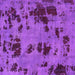 Square Machine Washable Persian Purple Bohemian Area Rugs, wshabs5642pur