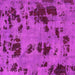Square Machine Washable Persian Pink Bohemian Rug, wshabs5642pnk