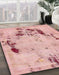 Abstract Pink Coral Pink Persian Rug in Family Room, abs5643