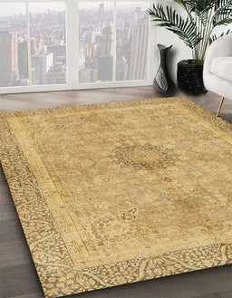Abstract Cinnamon Brown Oriental Rug in Family Room, abs5677