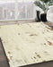 Abstract Vanilla Gold Modern Rug in Family Room, abs576