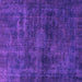 Square Abstract Purple Modern Rug, abs589pur