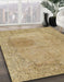 Abstract Cinnamon Brown Modern Rug in Family Room, abs590