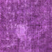 Square Oriental Purple Traditional Rug, abs591pur