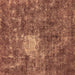 Square Oriental Brown Traditional Rug, abs591brn