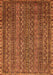 Oriental Orange Modern Rug, abs642org