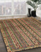 Machine Washable Abstract Red Brown Rug in a Family Room, wshabs656