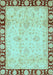 Oriental Light Blue Traditional Rug, abs724lblu