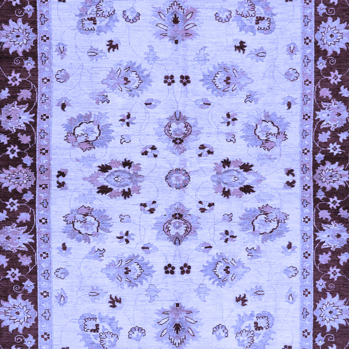 Oriental Blue Traditional Rug, abs726blu
