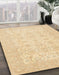 Machine Washable Abstract Brown Gold Rug in a Family Room, wshabs728