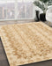 Machine Washable Abstract Orange Rug in a Family Room, wshabs742