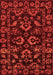 Machine Washable Oriental Orange Traditional Area Rugs, wshabs745org