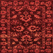 Square Machine Washable Oriental Orange Traditional Area Rugs, wshabs745org