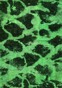 Abstract Green Modern Rug, abs750grn