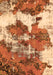 Machine Washable Abstract Orange Modern Area Rugs, wshabs753org