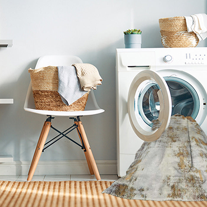 Machine Washable Abstract Dark Almond Brown Rug in a Washing Machine, wshabs759