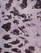 Machine Washable Abstract Purple Rug, wshabs760