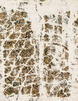 Abstract Dark Almond Brown Modern Rug, abs773