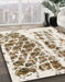 Machine Washable Abstract Dark Almond Brown Rug in a Family Room, wshabs773