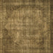 Square Abstract Brown Modern Rug, abs779brn