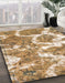 Machine Washable Abstract Light Brown Rug in a Family Room, wshabs783