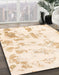 Machine Washable Abstract Bisque Beige Rug in a Family Room, wshabs784