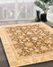 Abstract Brown Gold Oriental Rug in Family Room, abs791