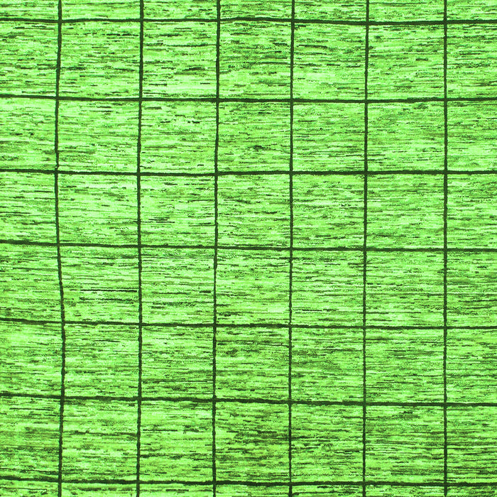 Machine Washable Checkered Green Modern Area Rugs, wshabs816grn
