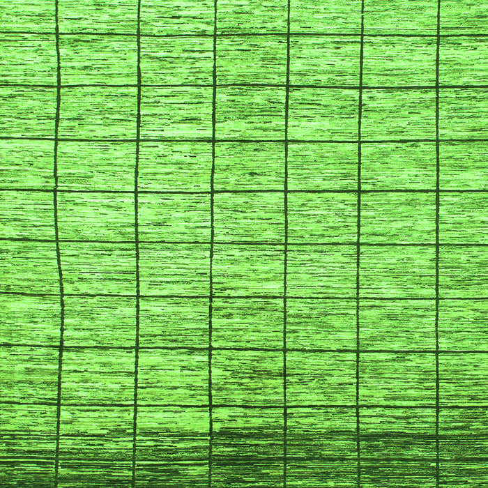 Square Machine Washable Checkered Green Modern Area Rugs, wshabs816grn