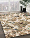 Machine Washable Abstract Dark Gold Brown Rug in a Family Room, wshabs836