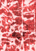 Abstract Red Modern Area Rugs