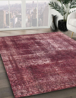 Machine Washable Abstract Pink Coral Pink Rug in a Family Room, wshabs846